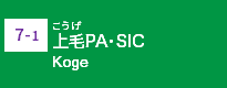 (7-1)上毛PA・SIC (7-1)上毛PA・SIC